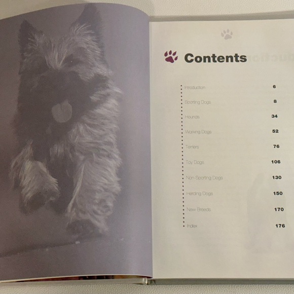 Dogs: From Extremely Large to Very Small • Igloo Books Hardcover Photo Guide - Picture 8 of 16